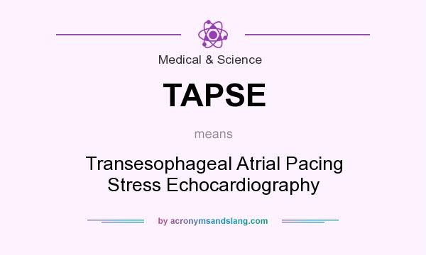 What does TAPSE mean? It stands for Transesophageal Atrial Pacing Stress Echocardiography