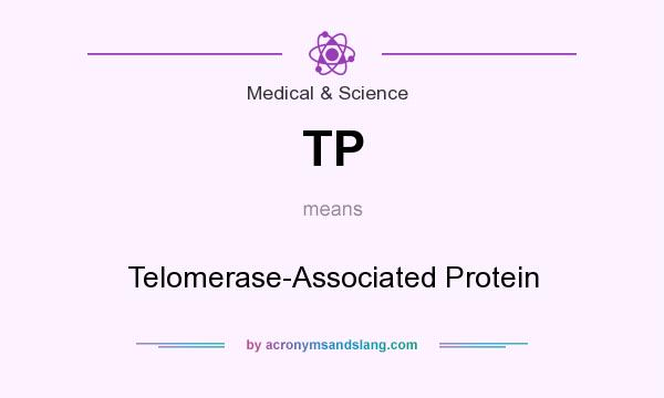 What does TP mean? It stands for Telomerase-Associated Protein