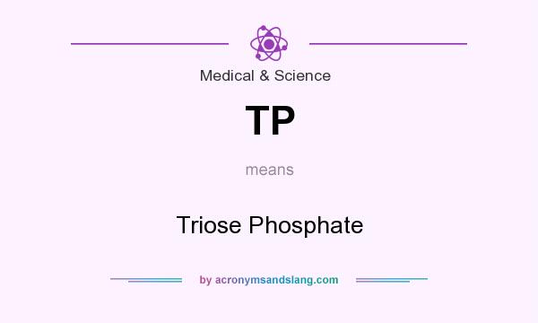 What does TP mean? It stands for Triose Phosphate