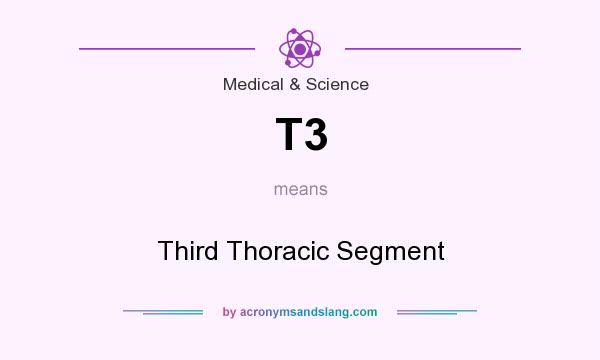 What does T3 mean? It stands for Third Thoracic Segment