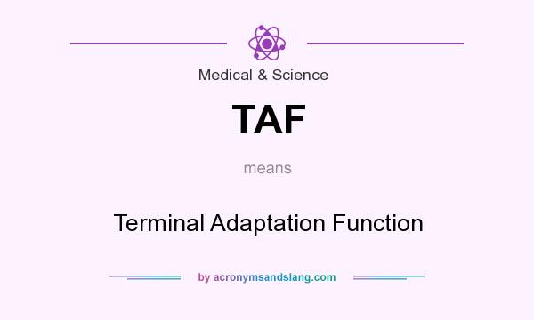 What does TAF mean? It stands for Terminal Adaptation Function