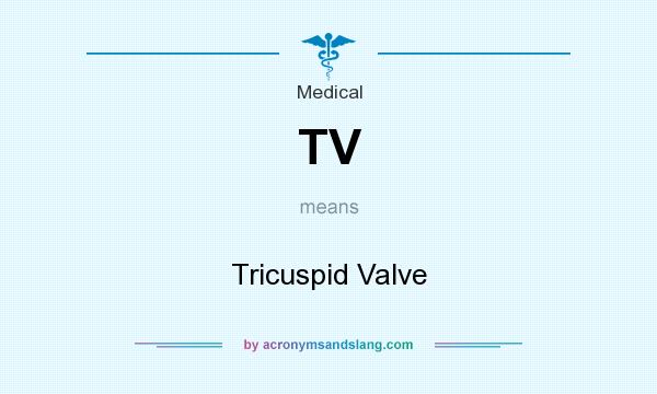 What does TV mean? It stands for Tricuspid Valve