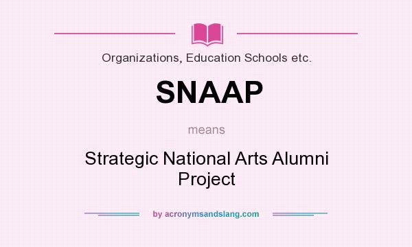 What does SNAAP mean? It stands for Strategic National Arts Alumni Project