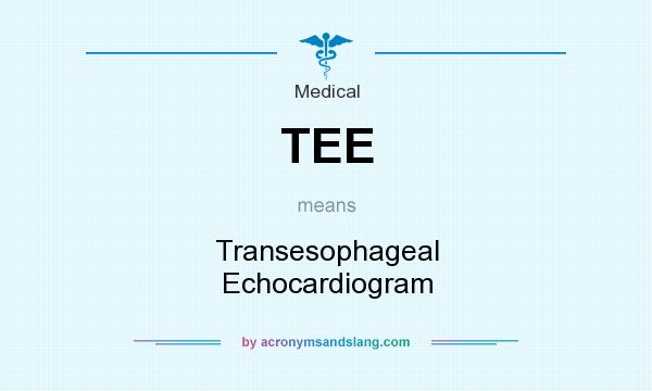What does TEE mean? It stands for Transesophageal Echocardiogram