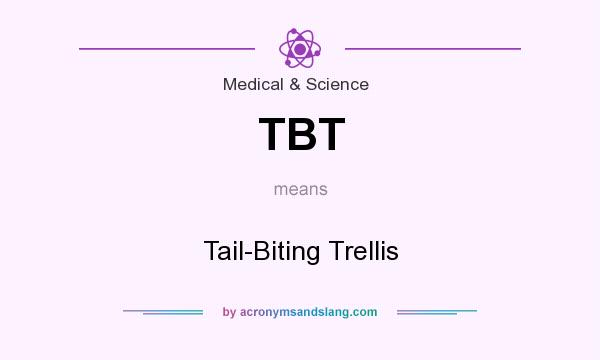 What does TBT mean? It stands for Tail-Biting Trellis