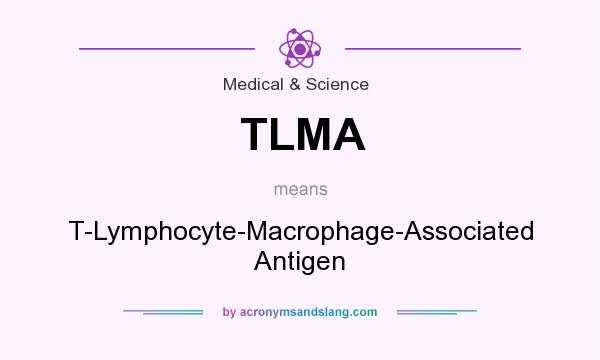What does TLMA mean? It stands for T-Lymphocyte-Macrophage-Associated Antigen