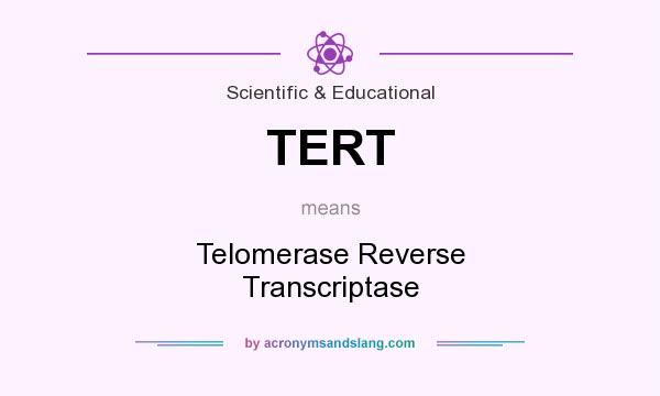 What does TERT mean? It stands for Telomerase Reverse Transcriptase