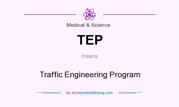 What does TEP mean? It stands for Traffic Engineering Program