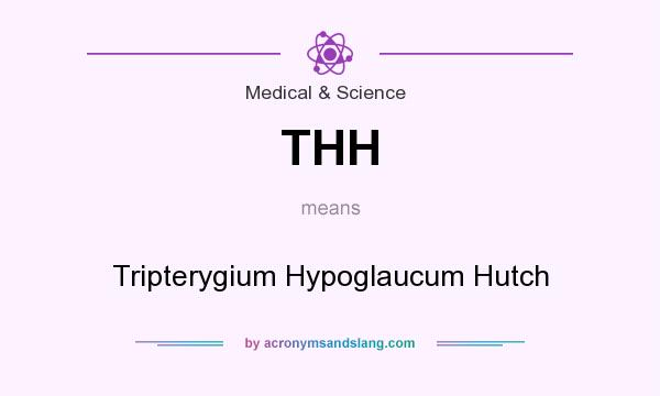 What does THH mean? It stands for Tripterygium Hypoglaucum Hutch