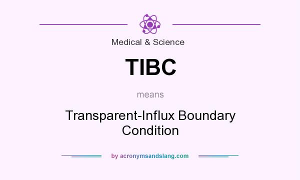 What does TIBC mean? It stands for Transparent-Influx Boundary Condition