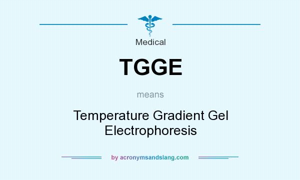 What does TGGE mean? It stands for Temperature Gradient Gel Electrophoresis