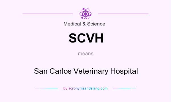 What does SCVH mean? It stands for San Carlos Veterinary Hospital