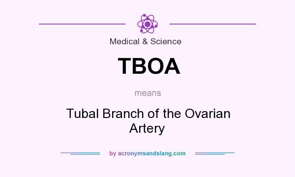 What does TBOA mean? It stands for Tubal Branch of the Ovarian Artery