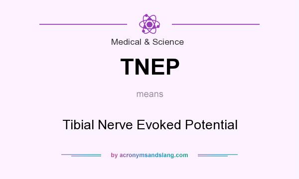What does TNEP mean? It stands for Tibial Nerve Evoked Potential