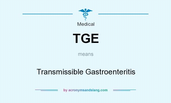 What does TGE mean? It stands for Transmissible Gastroenteritis
