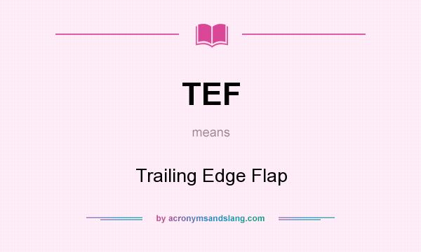 What does TEF mean? It stands for Trailing Edge Flap