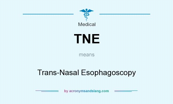 What does TNE mean? It stands for Trans-Nasal Esophagoscopy