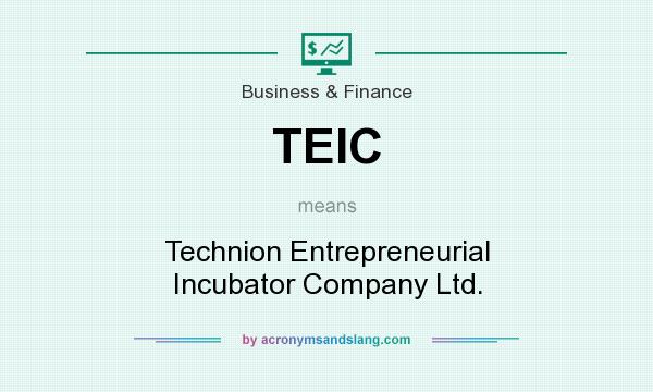 What does TEIC mean? It stands for Technion Entrepreneurial Incubator Company Ltd.