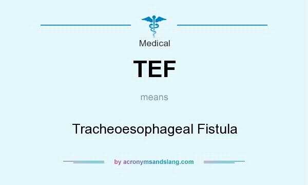 What does TEF mean? It stands for Tracheoesophageal Fistula