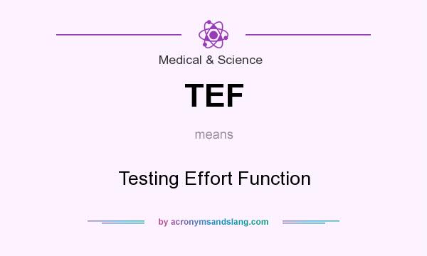 What does TEF mean? It stands for Testing Effort Function
