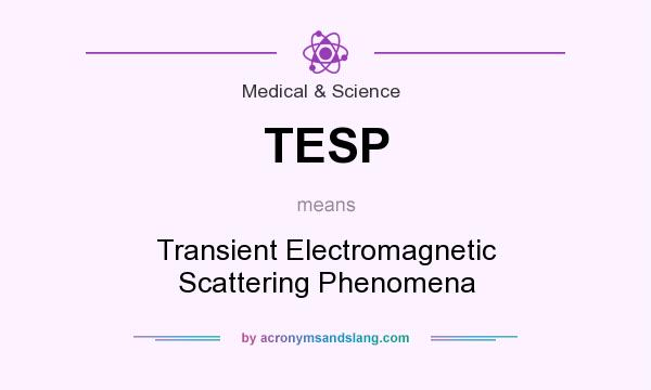 What does TESP mean? It stands for Transient Electromagnetic Scattering Phenomena