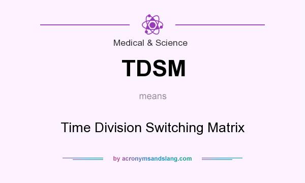 What does TDSM mean? It stands for Time Division Switching Matrix