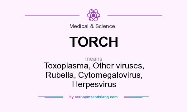 What does TORCH mean? It stands for Toxoplasma, Other viruses, Rubella, Cytomegalovirus, Herpesvirus
