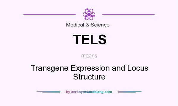 What does TELS mean? It stands for Transgene Expression and Locus Structure