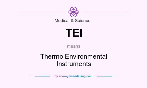 What does TEI mean? It stands for Thermo Environmental Instruments