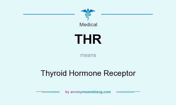What does THR mean? It stands for Thyroid Hormone Receptor