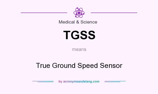 What does TGSS mean? It stands for True Ground Speed Sensor