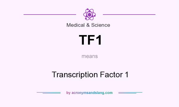 What does TF1 mean? It stands for Transcription Factor 1