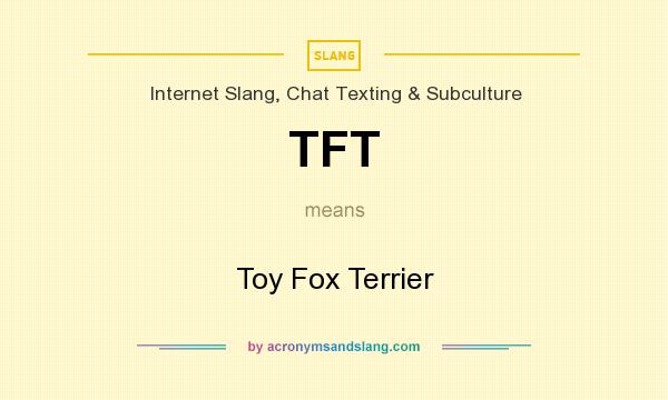 What does TFT mean? It stands for Toy Fox Terrier
