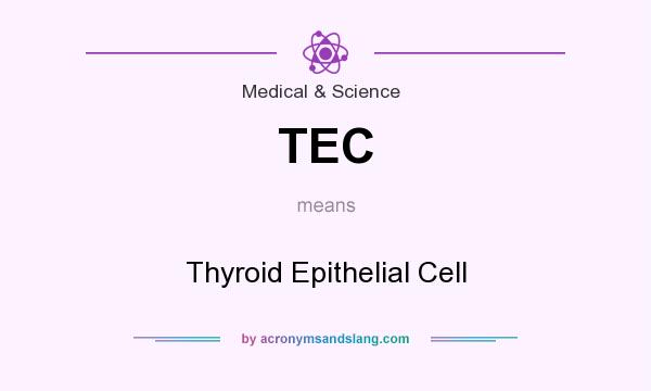 What does TEC mean? It stands for Thyroid Epithelial Cell