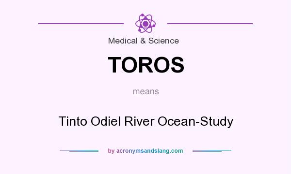 What does TOROS mean? It stands for Tinto Odiel River Ocean-Study
