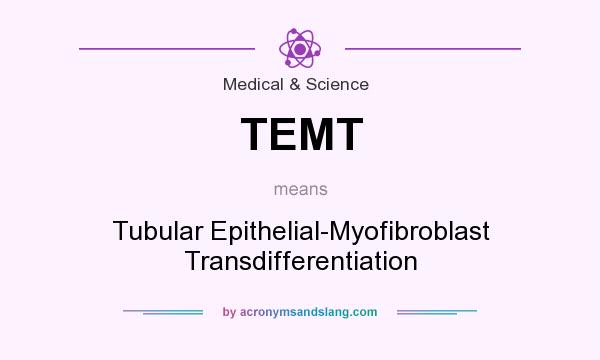 What does TEMT mean? It stands for Tubular Epithelial-Myofibroblast Transdifferentiation