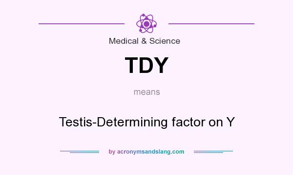What does TDY mean? It stands for Testis-Determining factor on Y