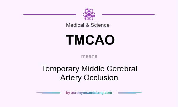 What does TMCAO mean? It stands for Temporary Middle Cerebral Artery Occlusion