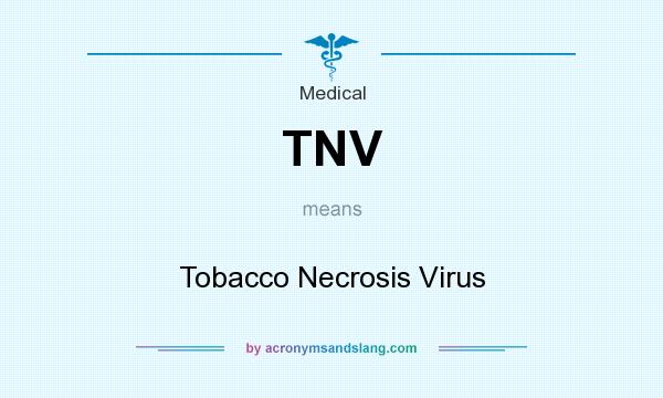 What does TNV mean? It stands for Tobacco Necrosis Virus