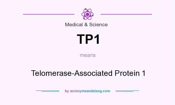 What does TP1 mean? It stands for Telomerase-Associated Protein 1