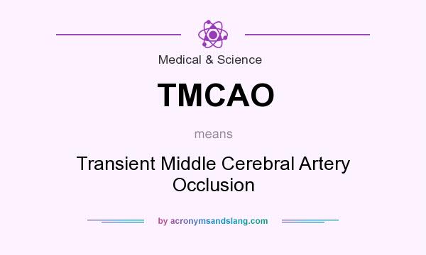 What does TMCAO mean? It stands for Transient Middle Cerebral Artery Occlusion