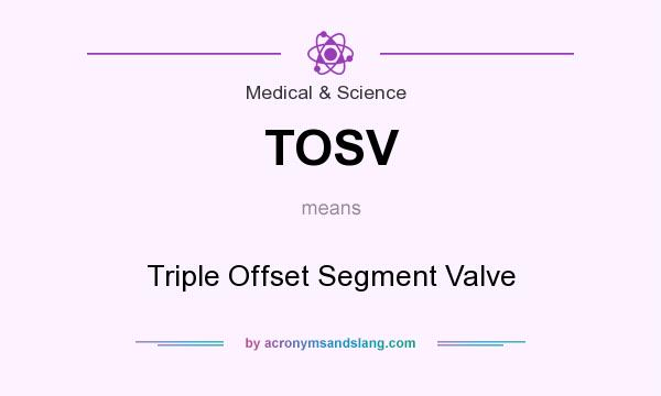 What does TOSV mean? It stands for Triple Offset Segment Valve