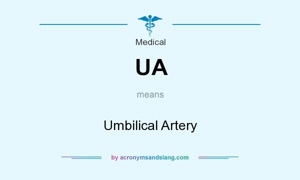 What does UA mean? It stands for Umbilical Artery