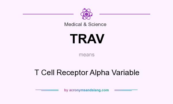 What does TRAV mean? It stands for T Cell Receptor Alpha Variable