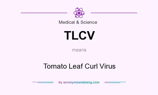 What does TLCV mean? It stands for Tomato Leaf Curl Virus