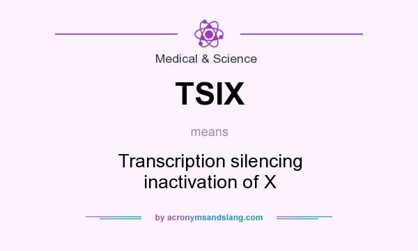 What does TSIX mean? It stands for Transcription silencing inactivation of X