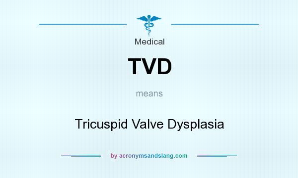 What does TVD mean? It stands for Tricuspid Valve Dysplasia
