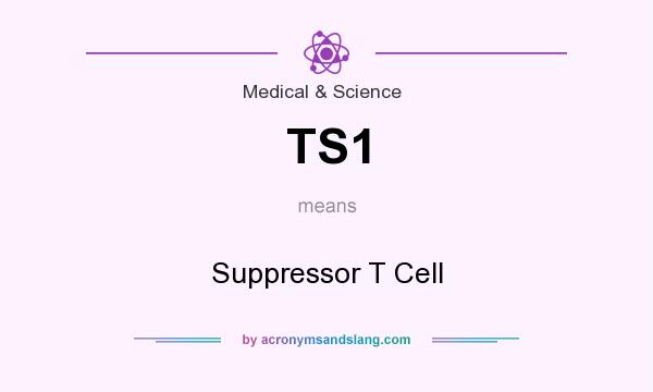 What does TS1 mean? It stands for Suppressor T Cell