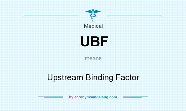 What does UBF mean? It stands for Upstream Binding Factor