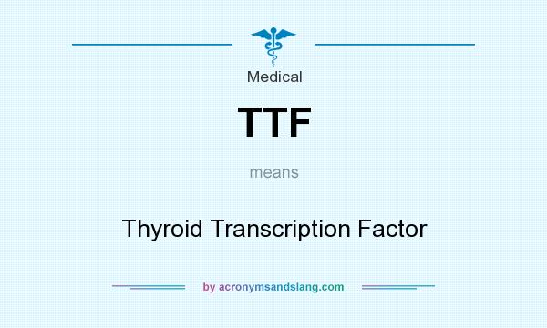 What does TTF mean? It stands for Thyroid Transcription Factor